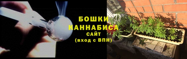 ешки Ельня