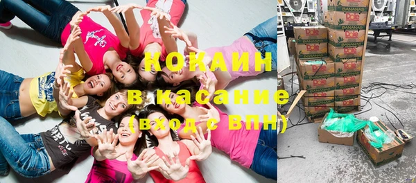 ешки Ельня