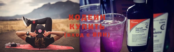 ешки Ельня