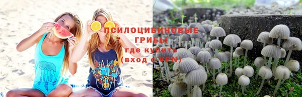 ешки Ельня