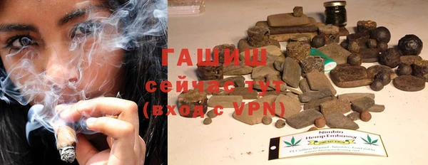 ешки Ельня