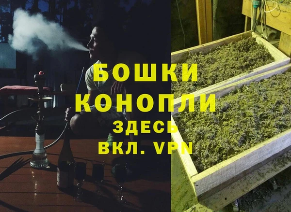 ешки Ельня