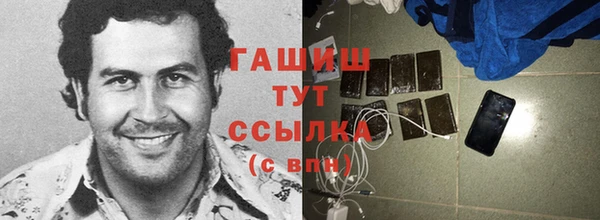 ешки Ельня