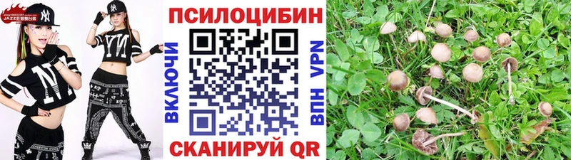 Псилоцибиновые грибы MAGIC MUSHROOMS  Купить  Бородино 